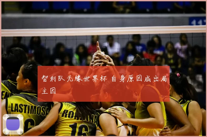 智利队无缘世界杯 自身原因成出局主因