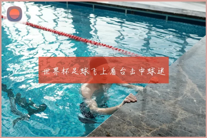 世界杯足球飞上看台击中球迷