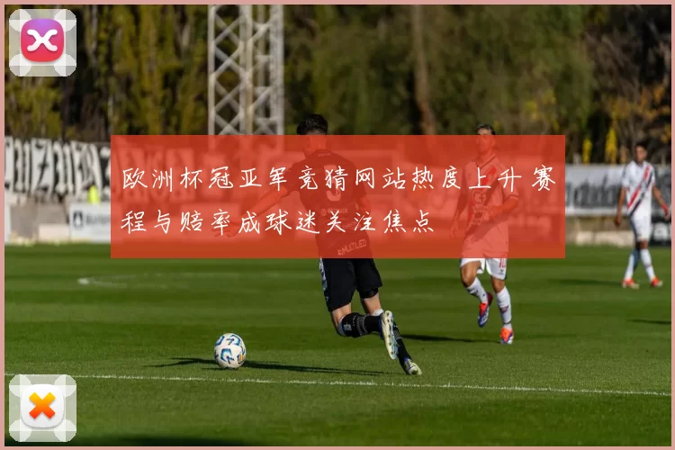 欧洲杯冠亚军竞猜网站热度上升 赛程与赔率成球迷关注焦点