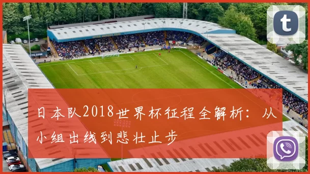 日本队2018世界杯征程全解析：从小组出线到悲壮止步