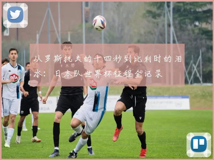 从罗斯托夫的十四秒到比利时的泪水：日本队世界杯征程全记录