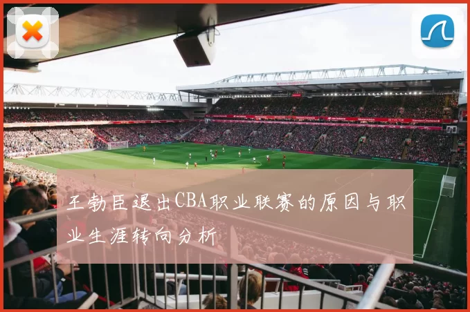 王勃臣退出CBA职业联赛的原因与职业生涯转向分析