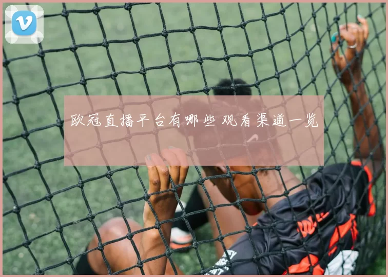 欧冠直播平台有哪些 观看渠道一览