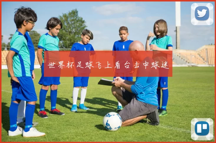 世界杯足球飞上看台击中球迷