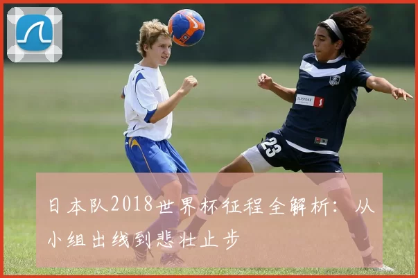 日本队2018世界杯征程全解析:从小组出线到悲壮止步